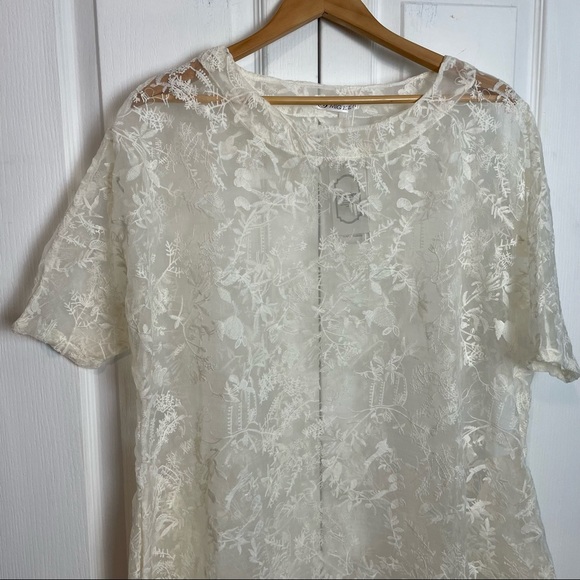 Sheer Embroidered Dress - Picture 4 of 10